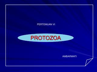 PROTOZOA