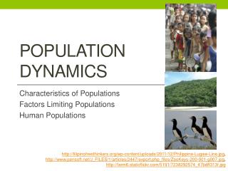 Population Dynamics