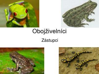 Obojživelníci