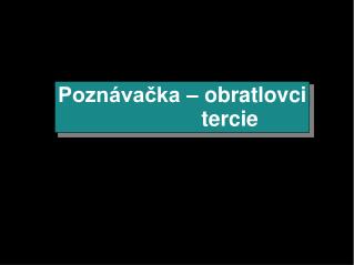 Poznávačka – obratlovci tercie