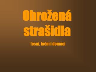 Ohrožená strašidla