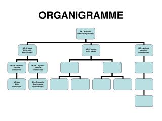 ORGANIGRAMME