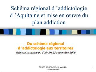 Schéma régional d ’addictologie d ’Aquitaine et mise en œuvre du plan addiction