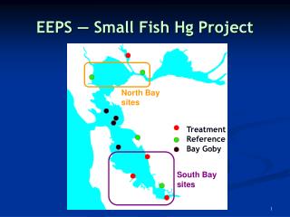 EEPS ― Small Fish Hg Project