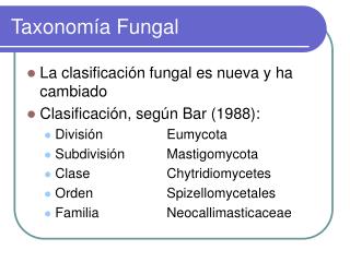 Taxonomía Fungal