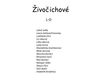 Živočichové