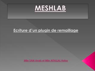 MESHLAB