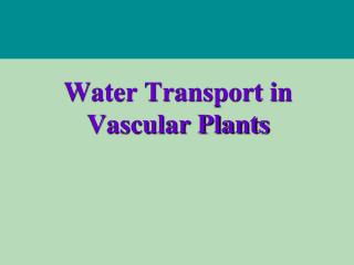 Water Transport in Vascular Plants