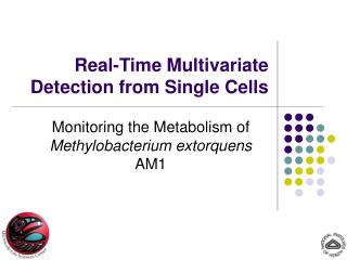 Real-Time Multivariate Detection from Single Cells