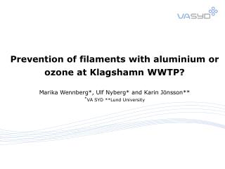 Problem Filamentous microorganisms Solution Aluminium or ozone? Control of sludge age?