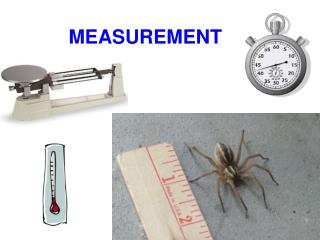 MEASUREMENT