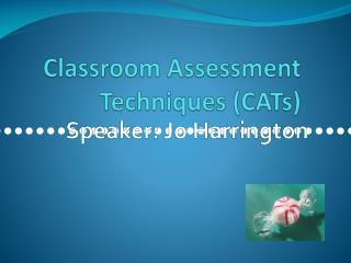 Classroom Assessment Techniques (CATs)