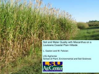 Soil and Water Quality with Miscanthus on a Louisiana Coastal Plain Hillside