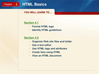 HTML Basics