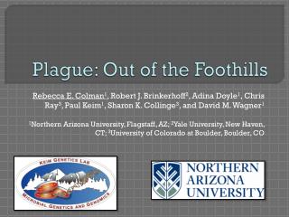 Plague: Out of the Foothills