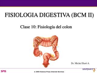 FISIOLOGIA DIGESTIVA (BCM II)