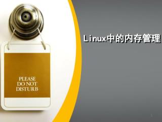 Linux 中的内存管理