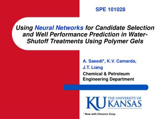 A. Saeedi * , K.V. Camarda, J.T. Liang Chemical &amp; Petroleum Engineering Department