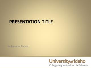 Presentation Title