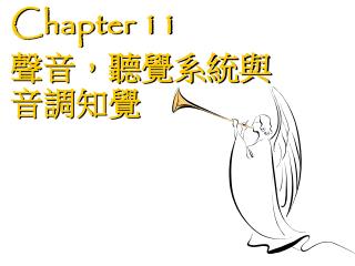 Chapter 11 聲音，聽覺系統與音調知覺