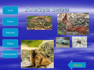 Zwierzęta Świata