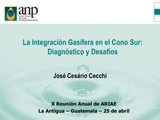 La Integración Gasífera en el Cono Sur: Diagnóstico y Desafíos