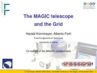 The MAGIC telescope and the Grid