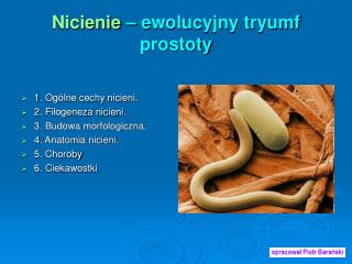 Nicienie – ewolucyjny tryumf prostoty