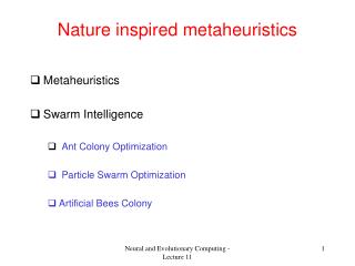 Nature inspired metaheuristics