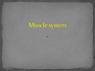 Muscle system