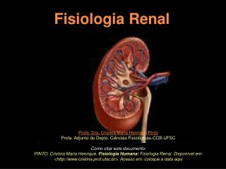 Fisiologia Renal