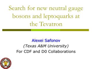 Search for new neutral gauge bosons and leptoquarks at the Tevatron