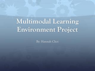 Multimodal Learning Environment Project