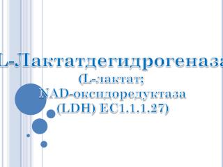 L- Лактатдегидрогеназа ( L- лактат ; NAD - оксидоредуктаза ( LDH) EC 1.1.1.27)