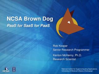 NCSA Brown Dog PaaS for SaaS for PaaS