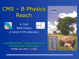 CMS – B Physics Reach
