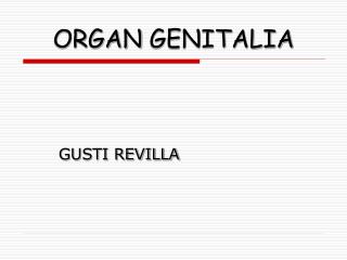 ORGAN GENITALIA