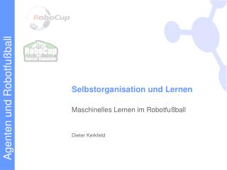 Selbstorganisation und Lernen