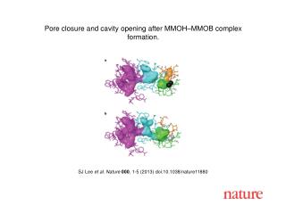 SJ Lee et al. Nature 000 , 1-5 (2013) doi:10.1038/nature11880