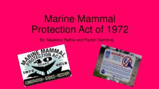 Marine Mammal Protection Act of 1972