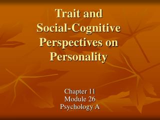 Trait and Social-Cognitive Perspectives on Personality