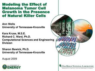 Modeling the Effect of Melanoma Tumor Cell Growth in the Presence of Natural Killer Cells