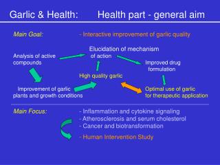 Garlic &amp; Health:	Health part - general aim