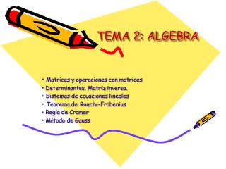 TEMA 2: ALGEBRA