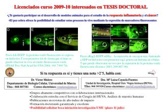 Licenciados curso 2009-10 interesados en TESIS DOCTORAL