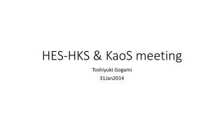 HES-HKS &amp; KaoS meeting