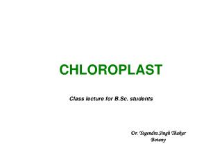 CHLOROPLAST