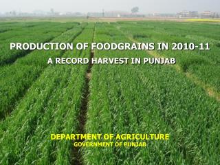 PRODUCTION OF FOODGRAINS IN 2010-11 A RECORD HARVEST IN PUNJAB
