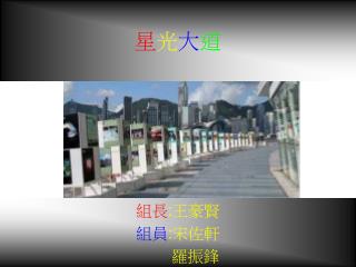 星 光 大 道