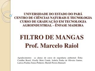 FILTRO DE MANGAS Prof. Marcelo Raiol